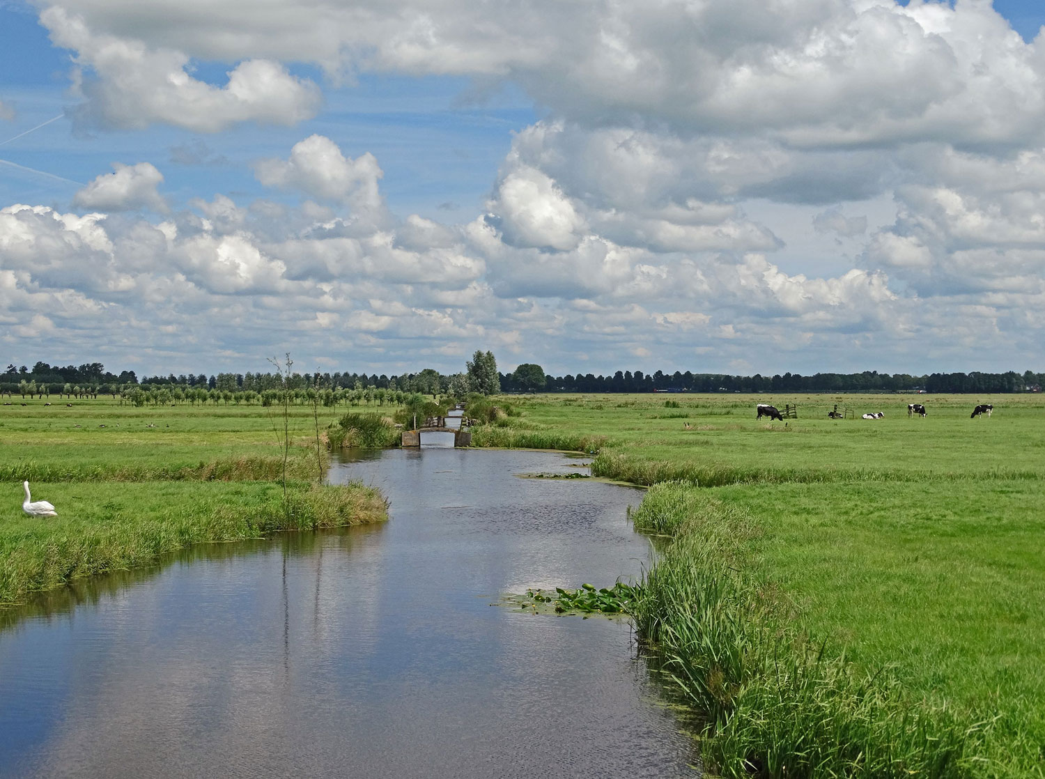 Varen+naar+moerasland+en+trilveen+in+de+Eilandspolder